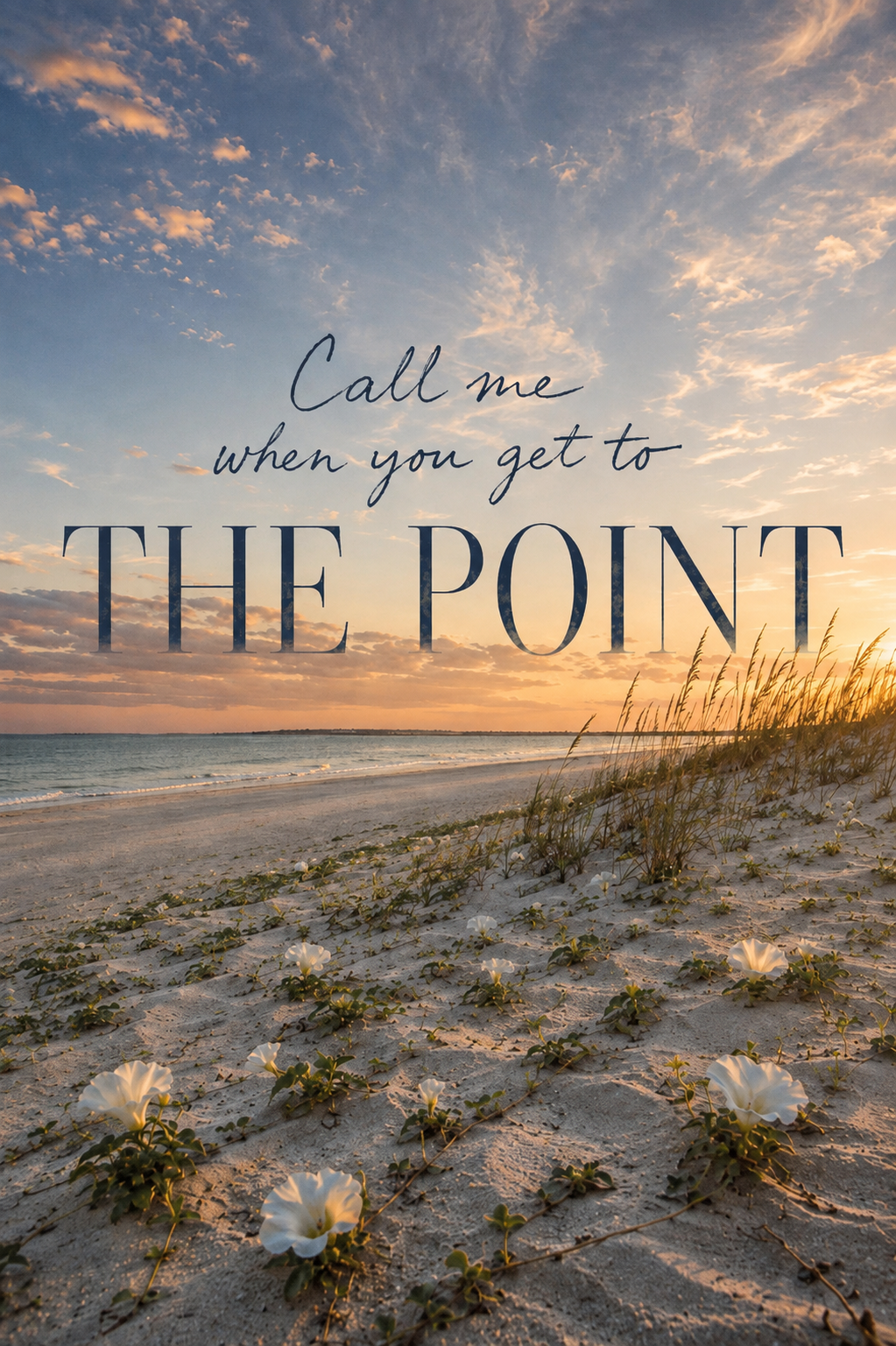 Cover of Call Me When You Get to The Point by Nikki Bodie